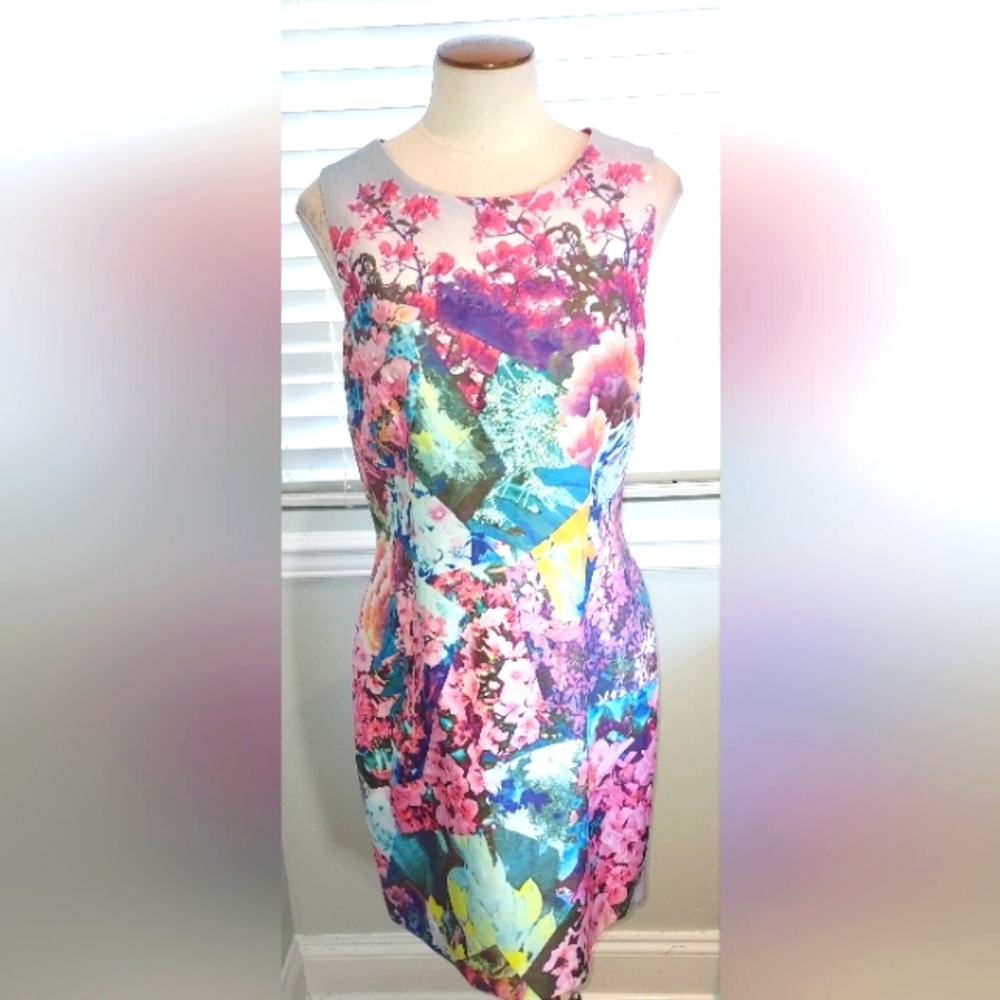 Cynthia Steffe Multi Color/Modern Pink Floral Sleeveless Dress Size 12 NWT